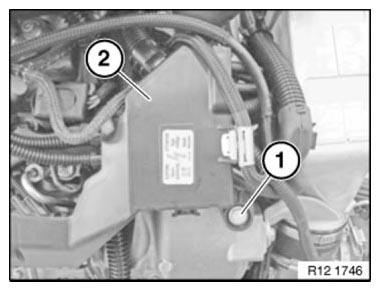 Engine Wiring Loom